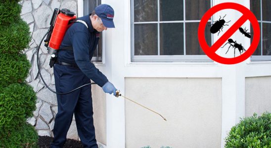 Köşk Karınca İlaçlama böcek ilaçlama ve haşere kontrolü — ilaclama-tr.com